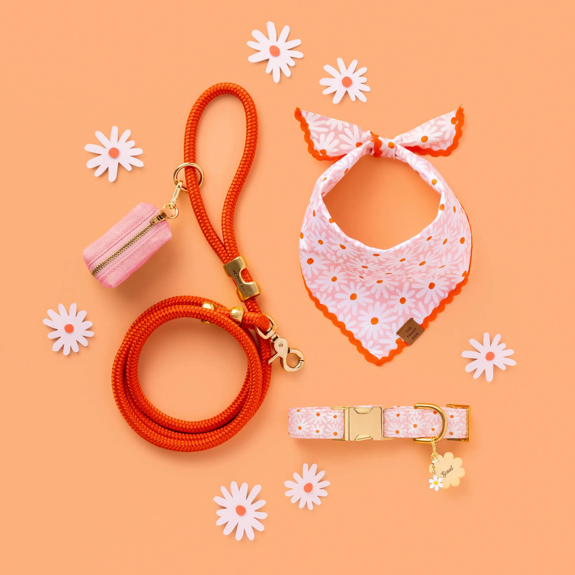 Cider Marine Rope Dog Leash