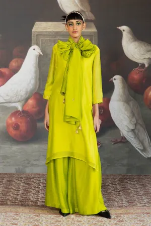 Green Chanderi Flared Pants