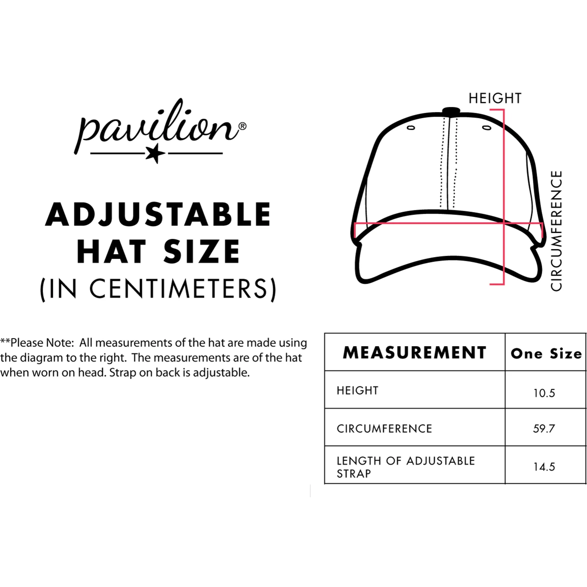 Lake Dad Cadet Blue Adjustable Hat