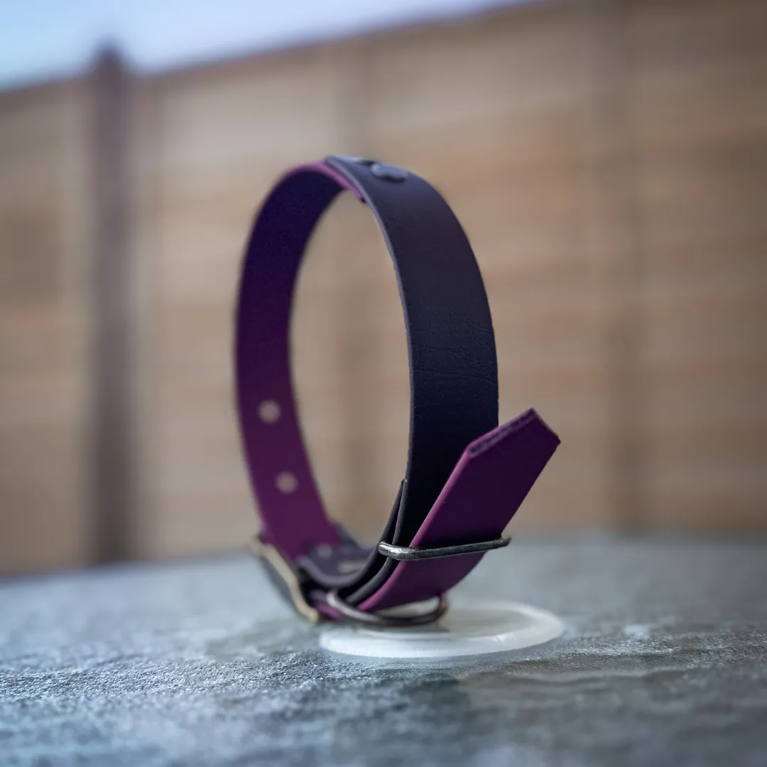 Merlot and Dark Chocolate Brown Collars