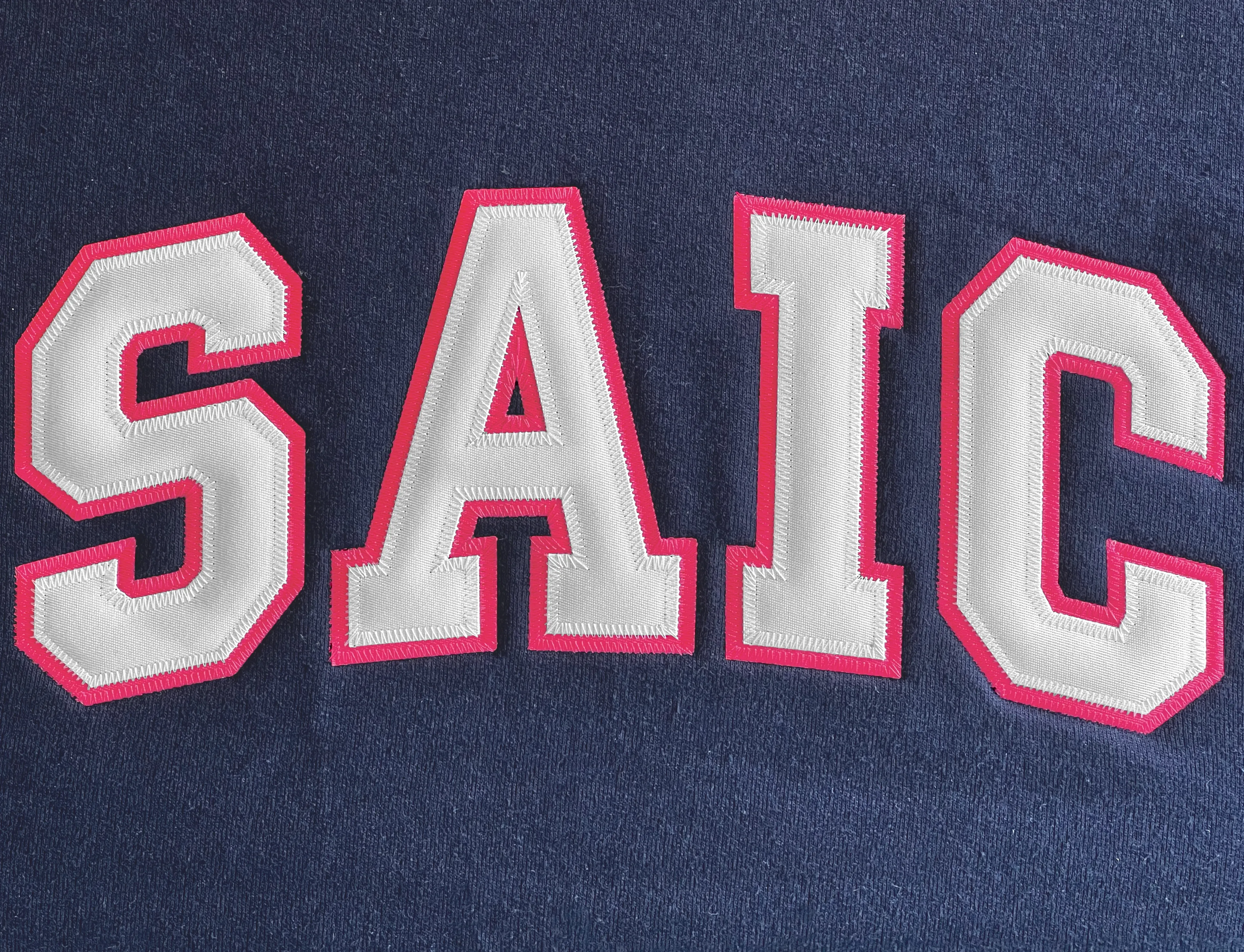 Navy Champion Collegiate Crewneck