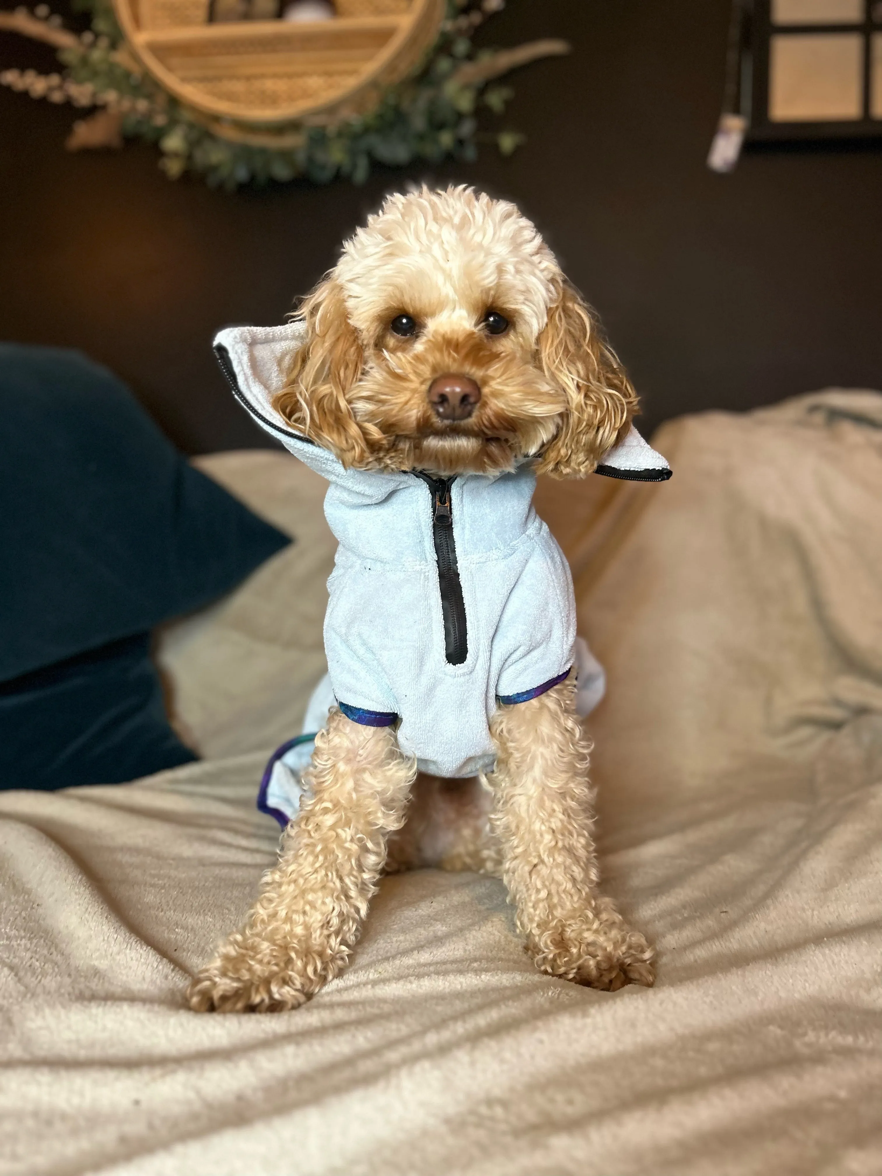 Pathfinder Dog Microfibre Drying Coat - Ice Blue with Marble Trim