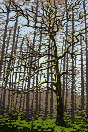 "Winter Oak" print by Alexandra Buckle