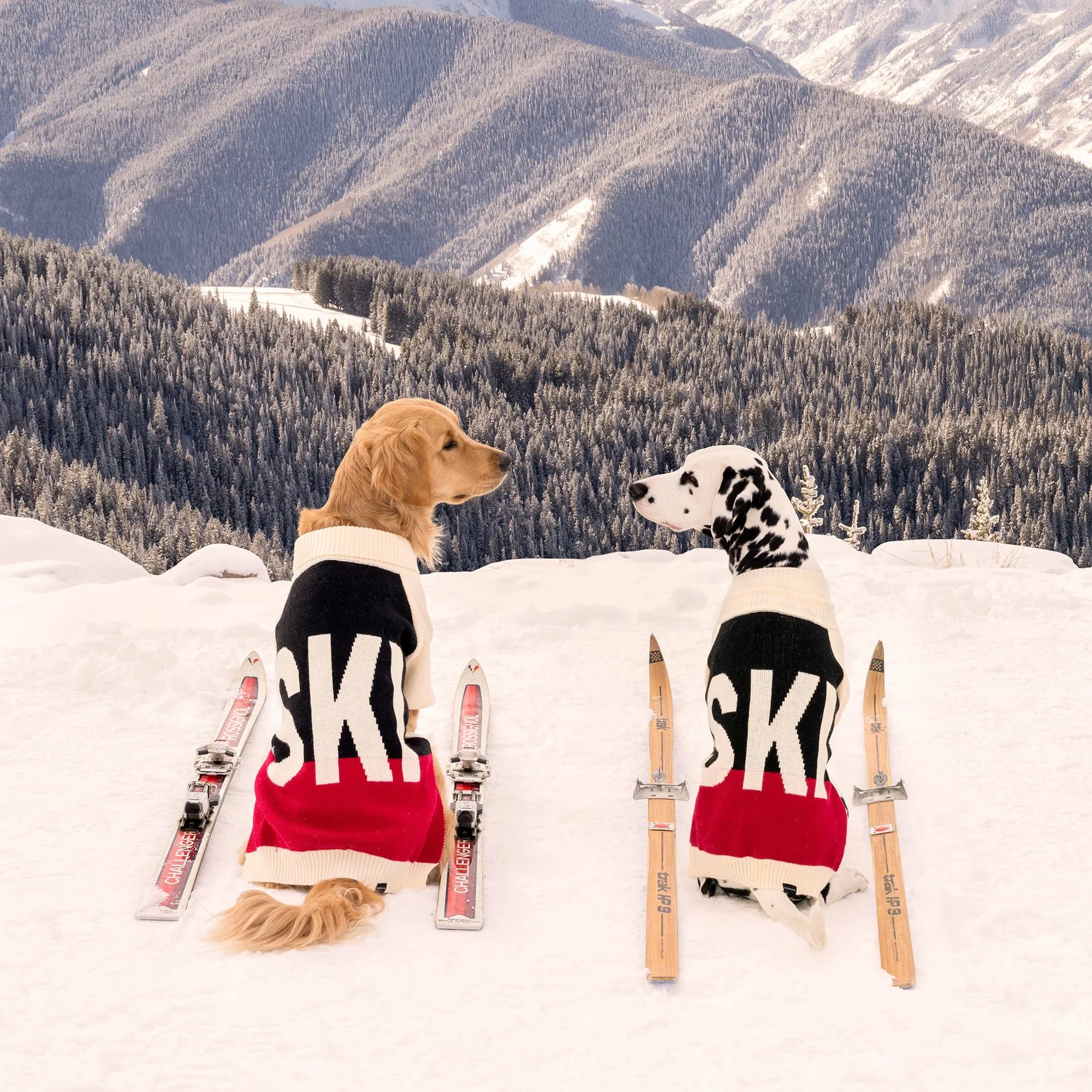 Recess x Gray Malin Winter Set