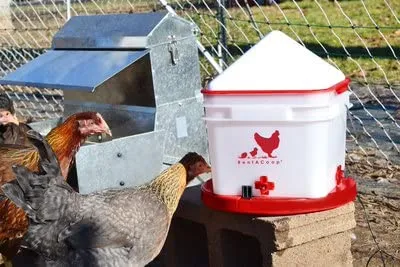 RentACoop 12" Poultry Deicer Base – Electric Heated Warmer for Poultry Waterers in Winter, Freeze Proof, Indoor/Outdoor Use
