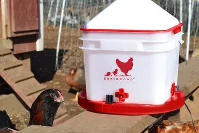RentACoop 12" Poultry Deicer Base – Electric Heated Warmer for Poultry Waterers in Winter, Freeze Proof, Indoor/Outdoor Use