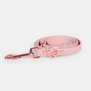 Valgray Splash Proof Dog Leash, Blush & Rose Gold, Extra Small to Small